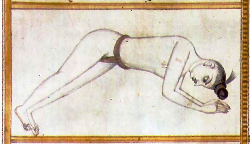 Gajasana, lámina del Sritattvanidhi